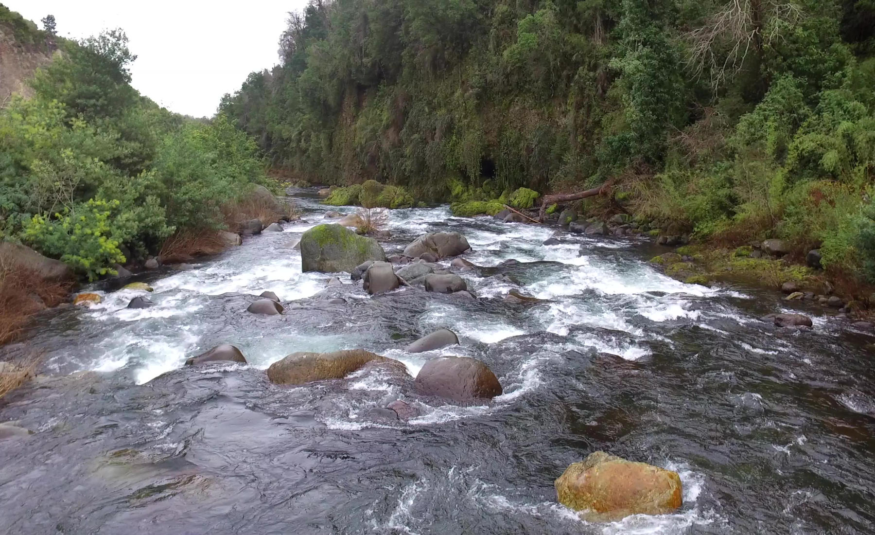 Rio Claro