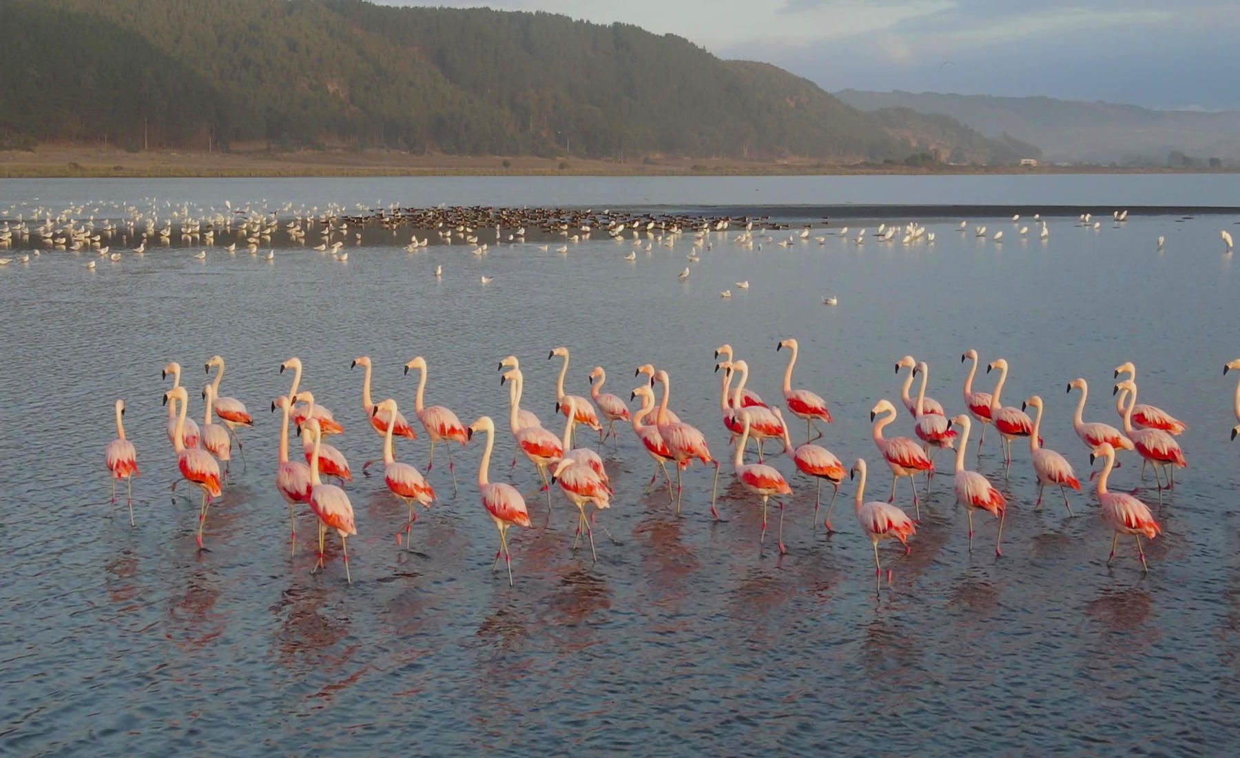 Desembocadura Rio Mataquito