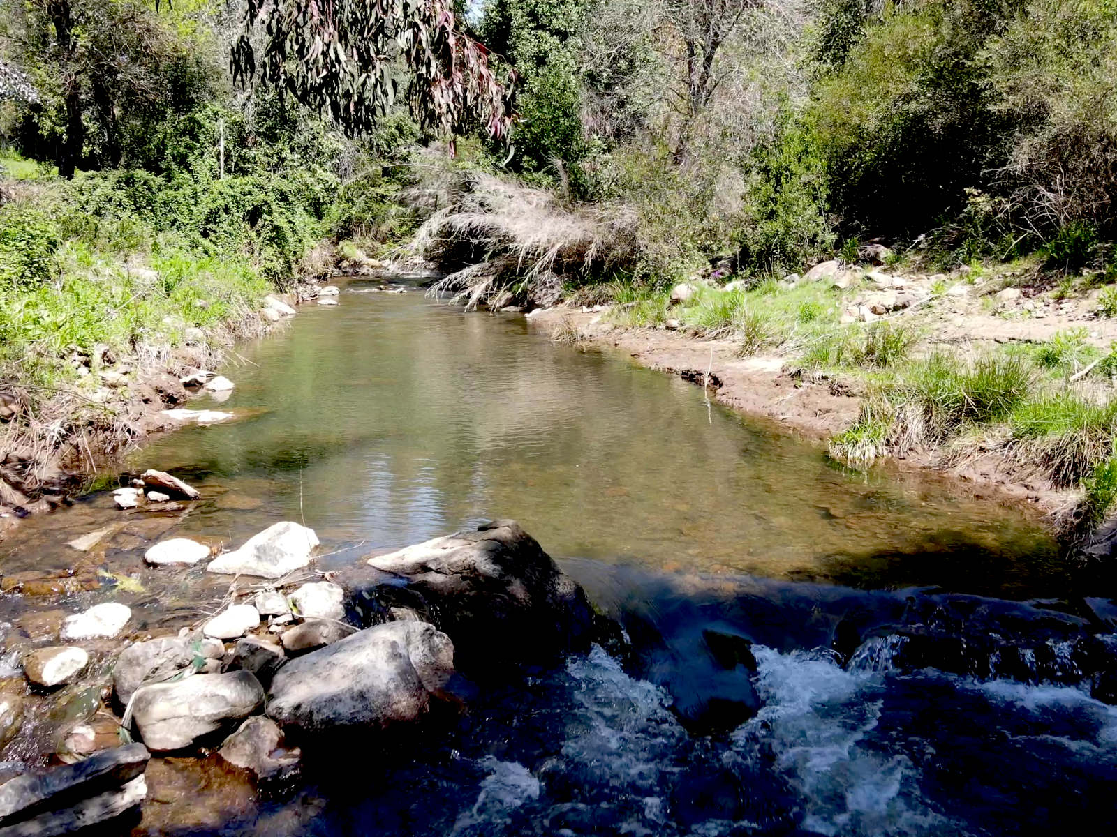 Estero Macal
