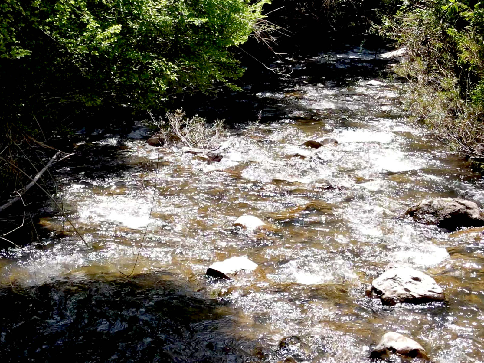 Estero Macal