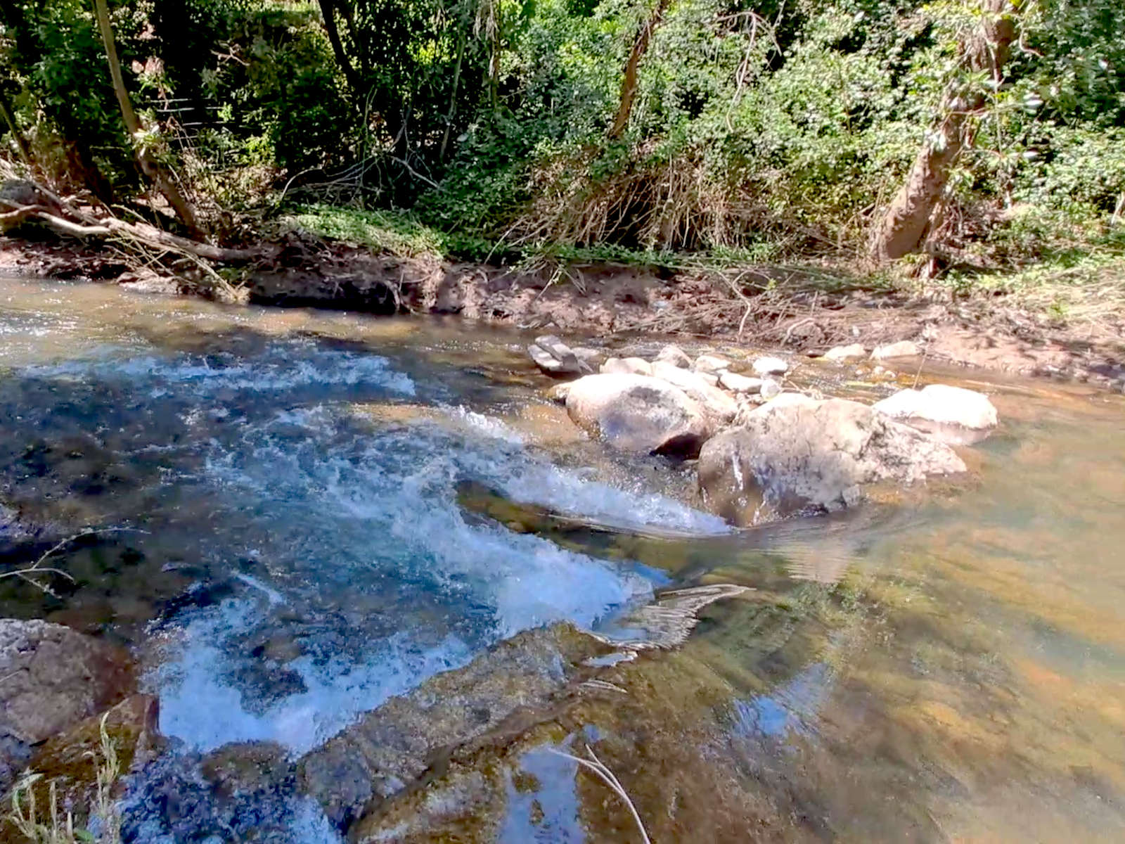 Estero Macal