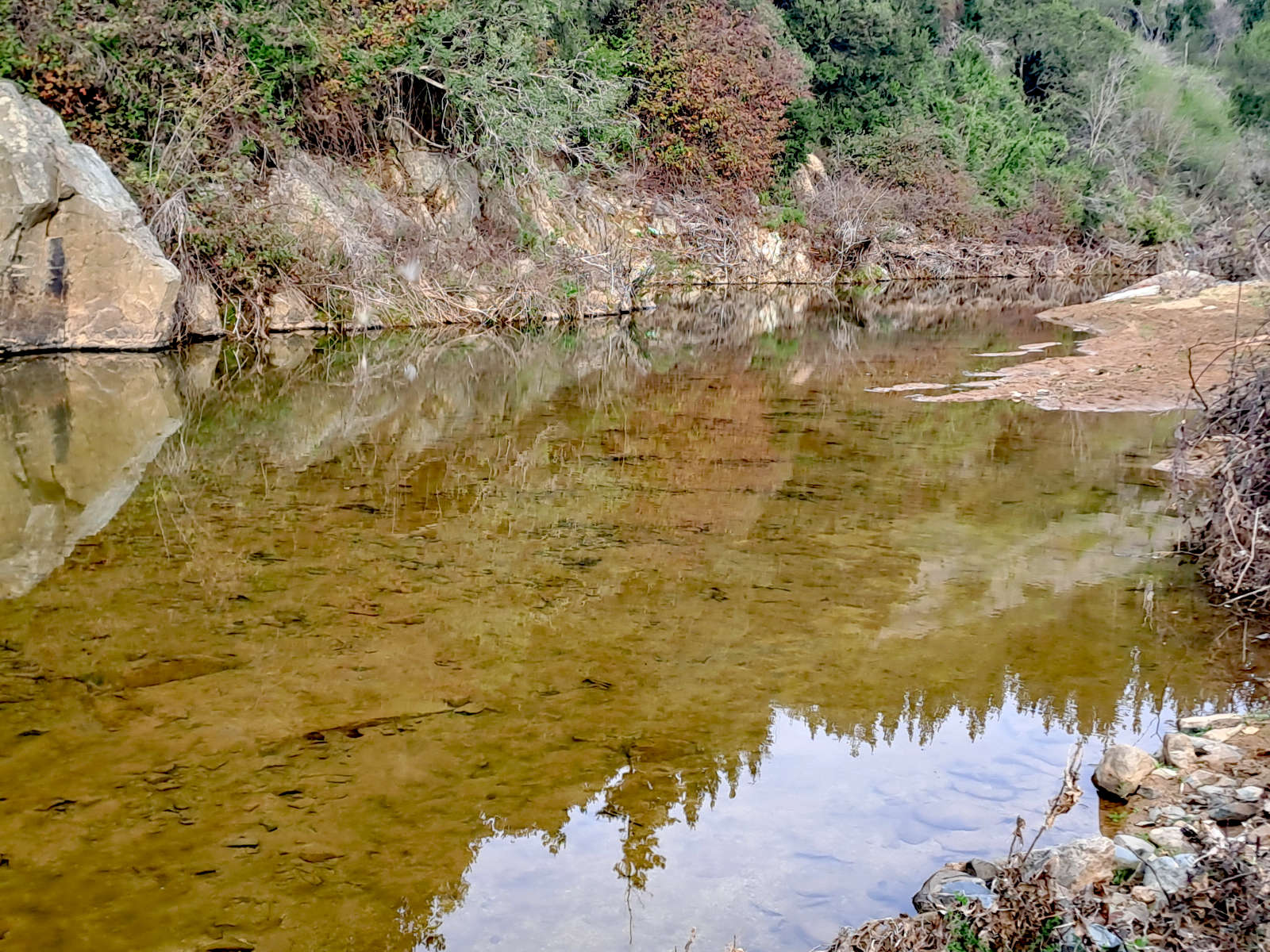 Estero Rapilermo