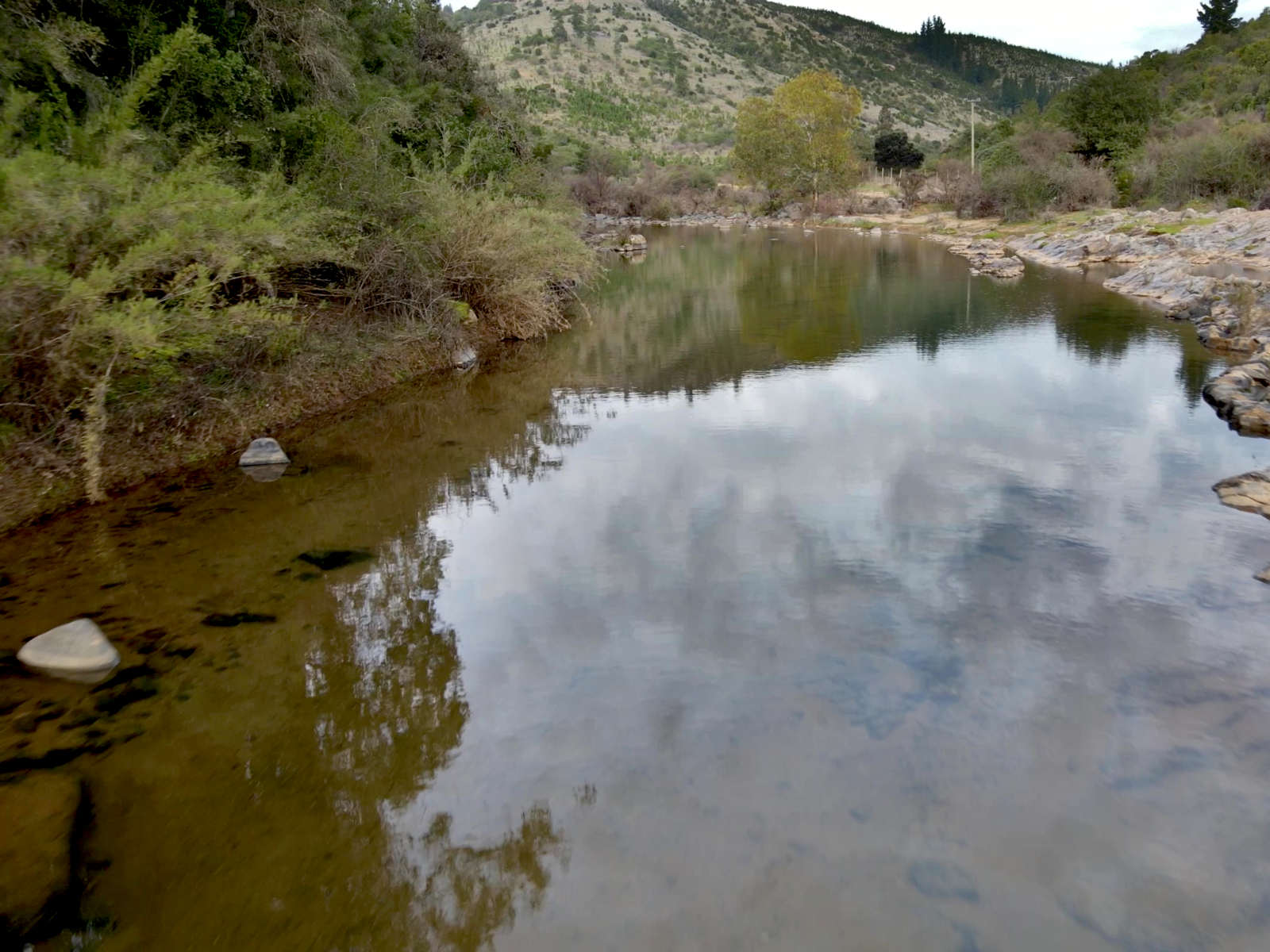 Estero Rapilermo