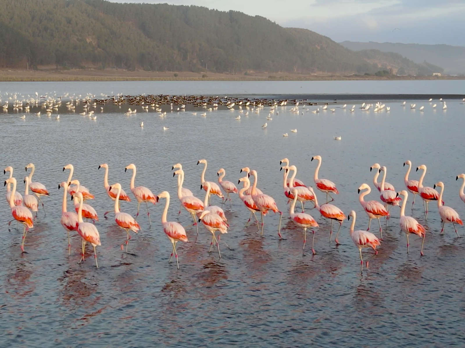 Desembocadura del Río Mataquito