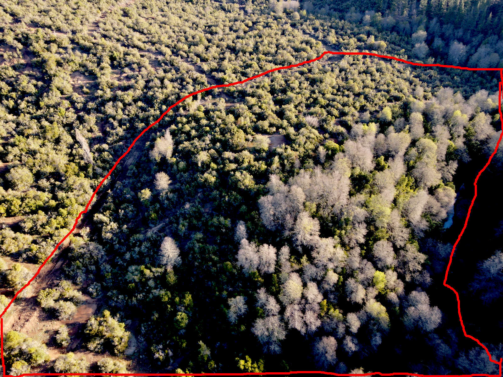 Loteo Upeo, parte baja plana con estero